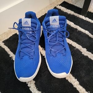 Royal Blue Adidas Basketball CCP-BCF Shoes